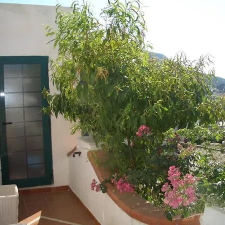 Monteguardia - Immobilevante * Ponza